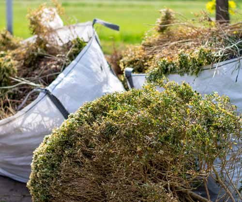 garden maintenance