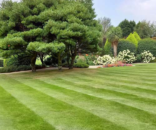 lawn care